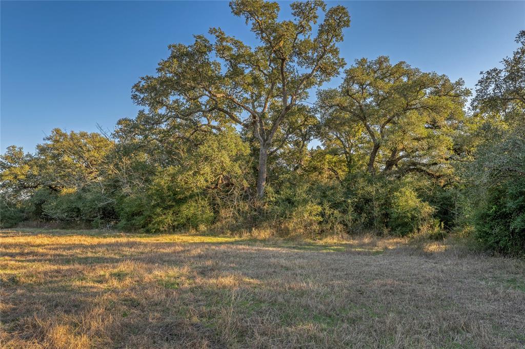 William Penn, Washington, Texas image 7