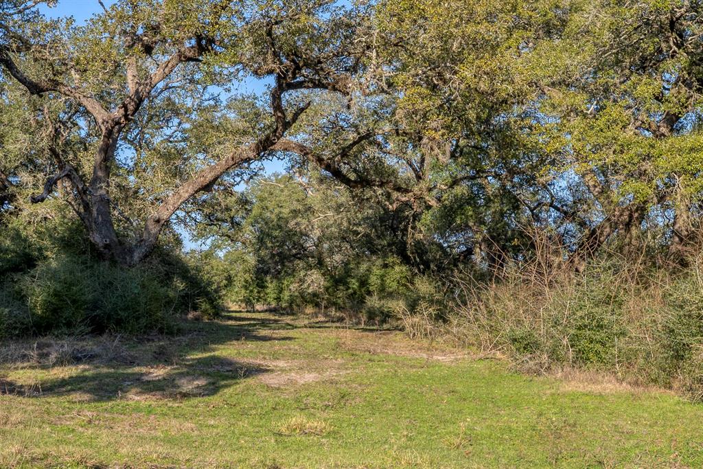 William Penn, Washington, Texas image 8