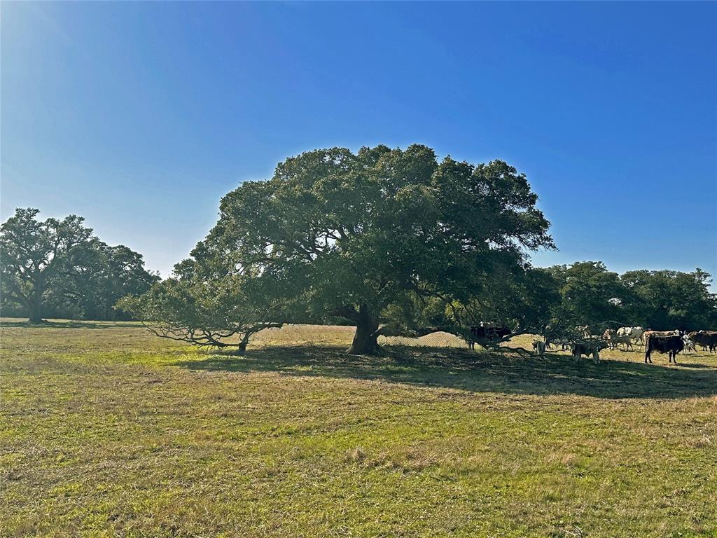 William Penn, Washington, Texas image 3