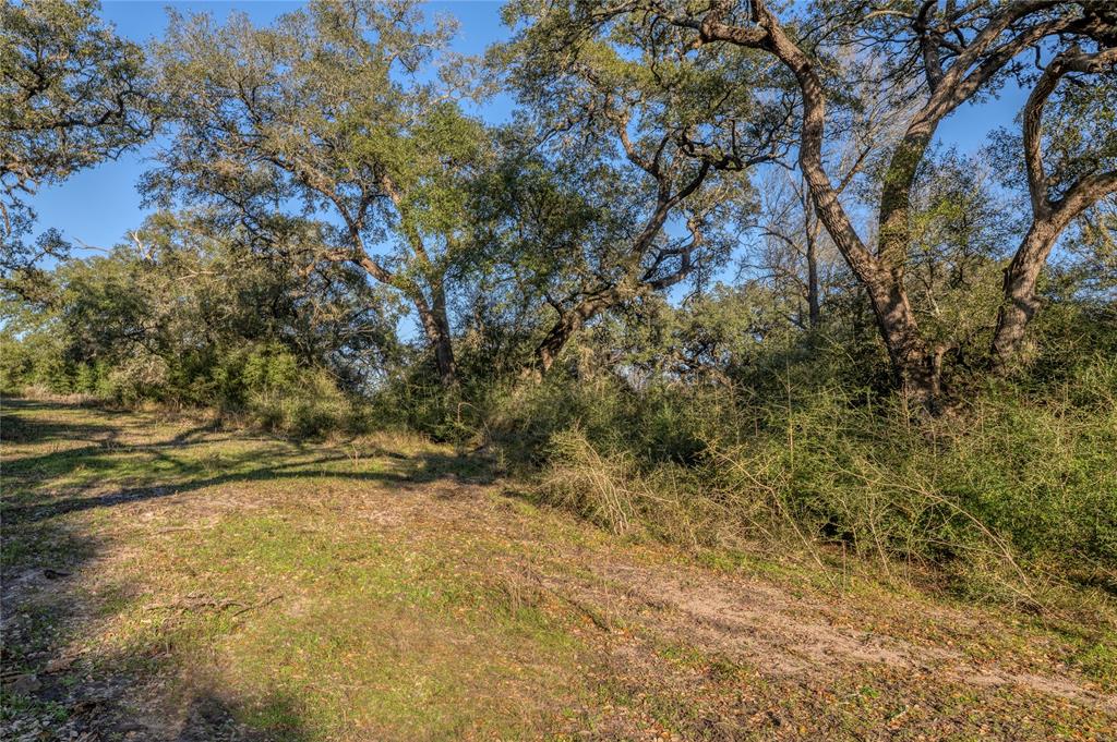 William Penn, Washington, Texas image 6