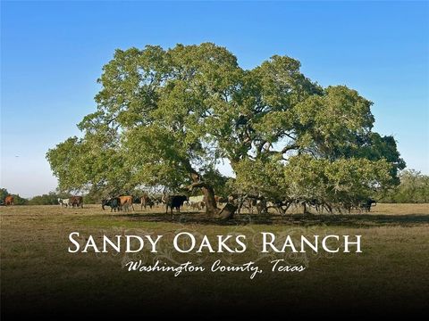 Photo of 0 William Penn, Washington, TX 77880 (MLS # 78175585) Photo of 0 William Penn, Washington, TX 77880 (MLS # 78175585)