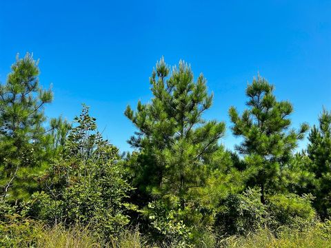 Vacant Land For Sale - Carters Ferry Road<br/> Milam, TX 75959