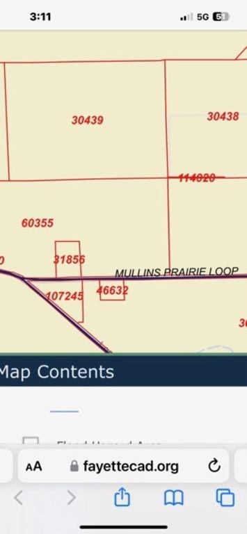 4441 Mullins Prairie Loop, La Grange, Texas image 22