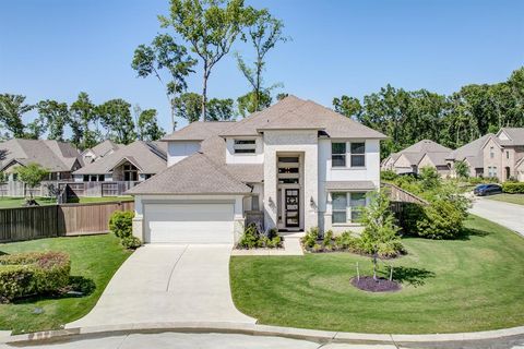 8031 Mckittrick Ridge Drive Porter TX 77365