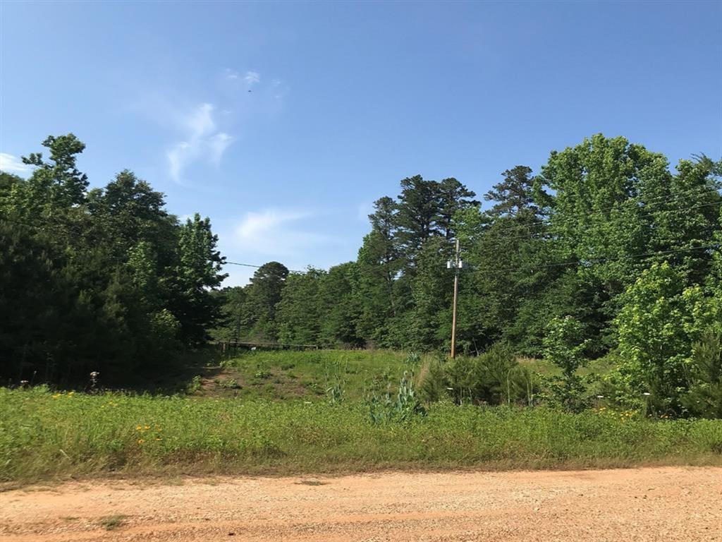 Us 259, Henderson, Texas image 10