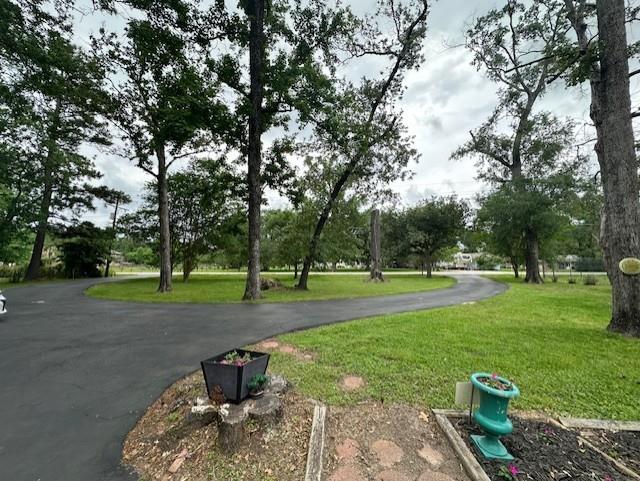 11771 Sleepy Hollow Road, Conroe, Texas image 2