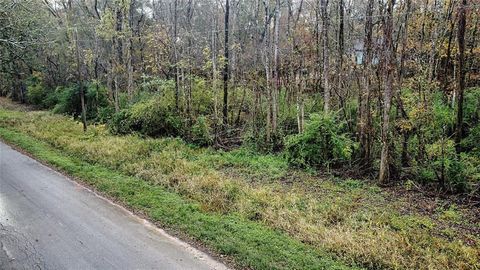 Photo of 12651 Royal Creek Road, Conroe, TX 77303 (MLS # 98273238)