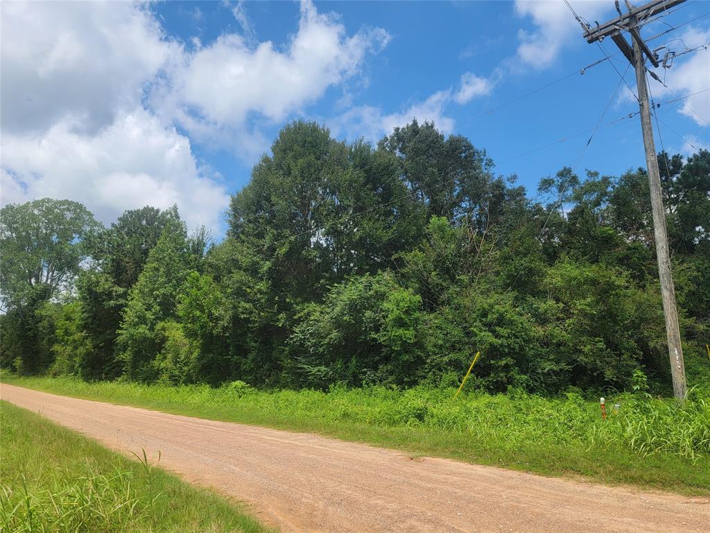 00 Farm Pasture Road, Shepherd, Texas image 7