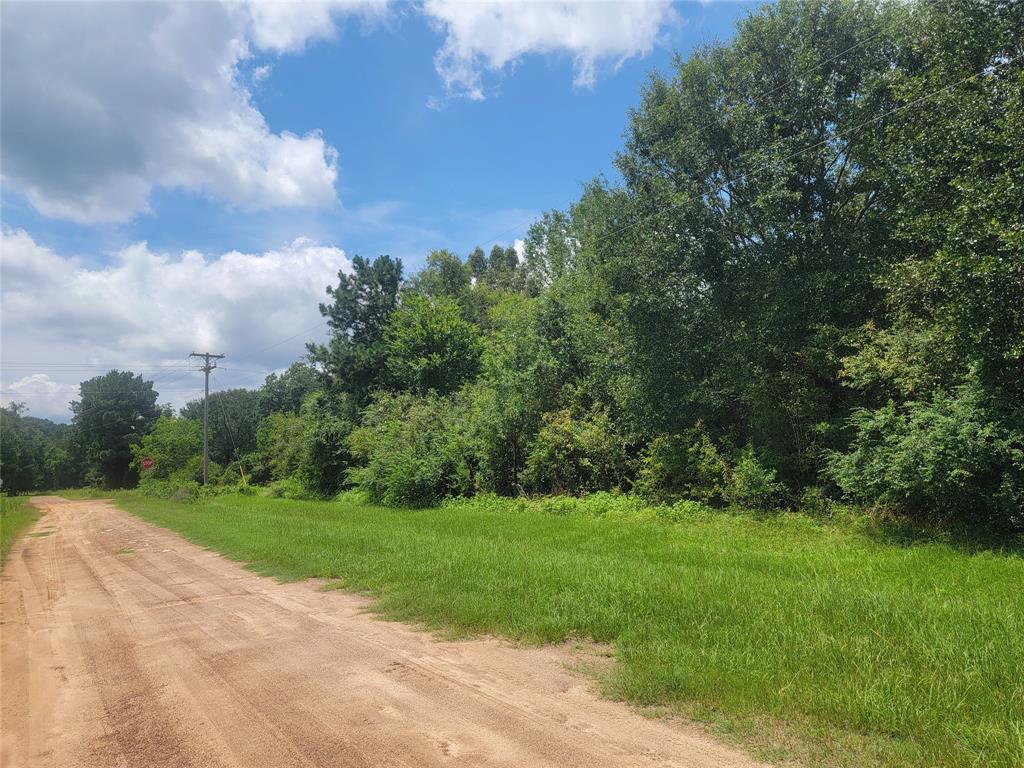 00 Farm Pasture Road, Shepherd, Texas image 3