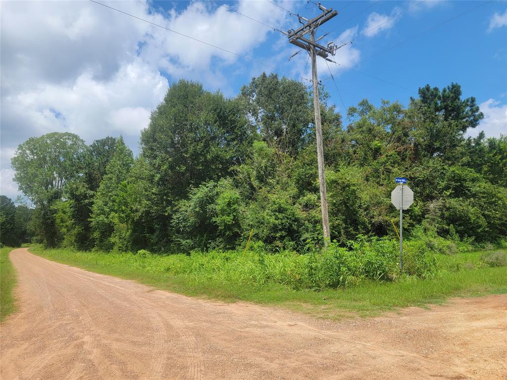 00 Farm Pasture Road, Shepherd, Texas image 6