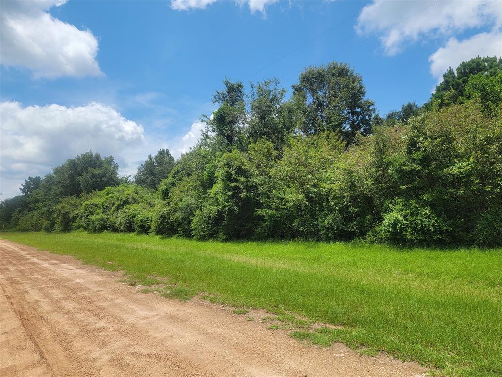 00 Farm Pasture Road, Shepherd, Texas image 2