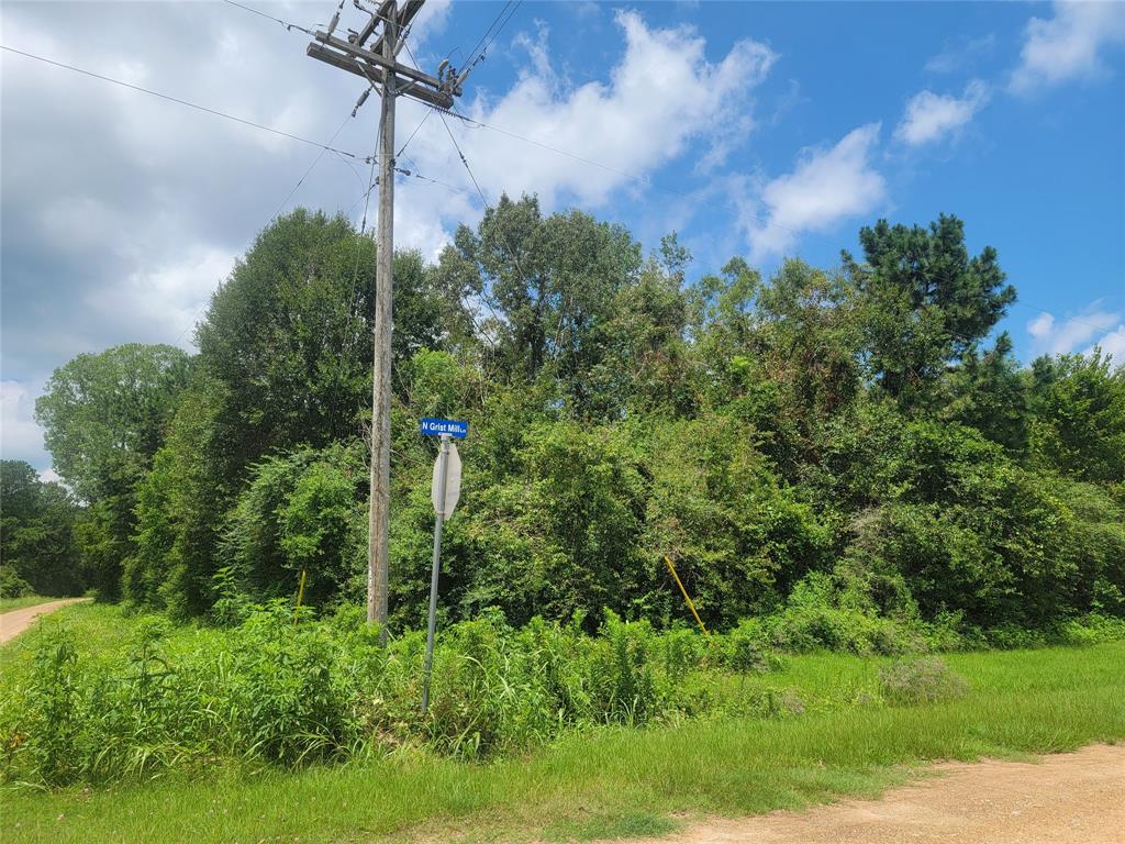 00 Farm Pasture Road, Shepherd, Texas image 4