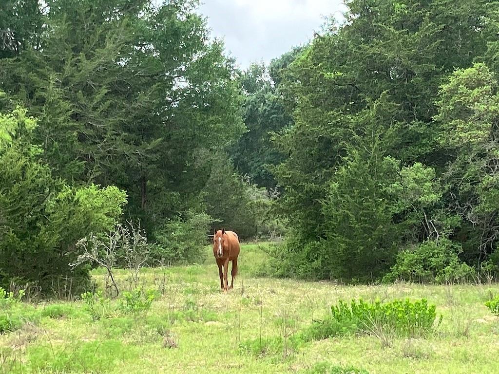 1263 Private Road 1021, Hallettsville, Texas image 9