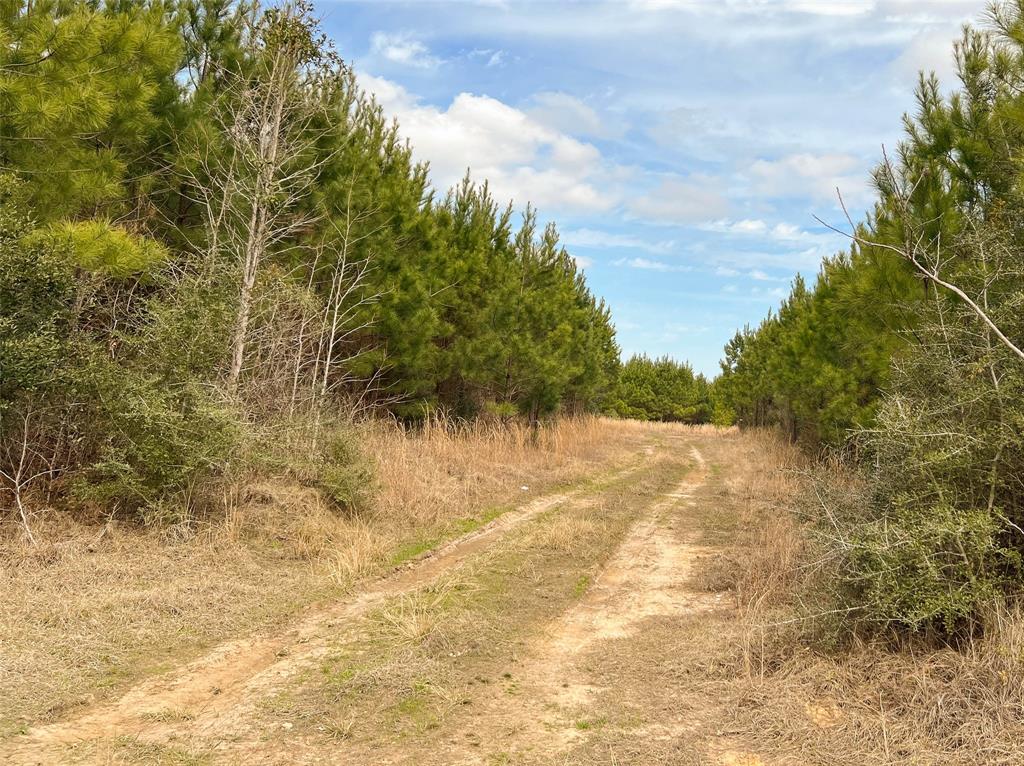 0000007 Fm 1746, Spurger, Texas image 11