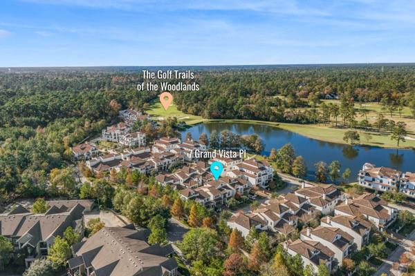 7 Grand Vista Place, The Woodlands, Texas image 41