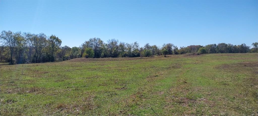 Private Road 5470, Crockett, Texas image 6