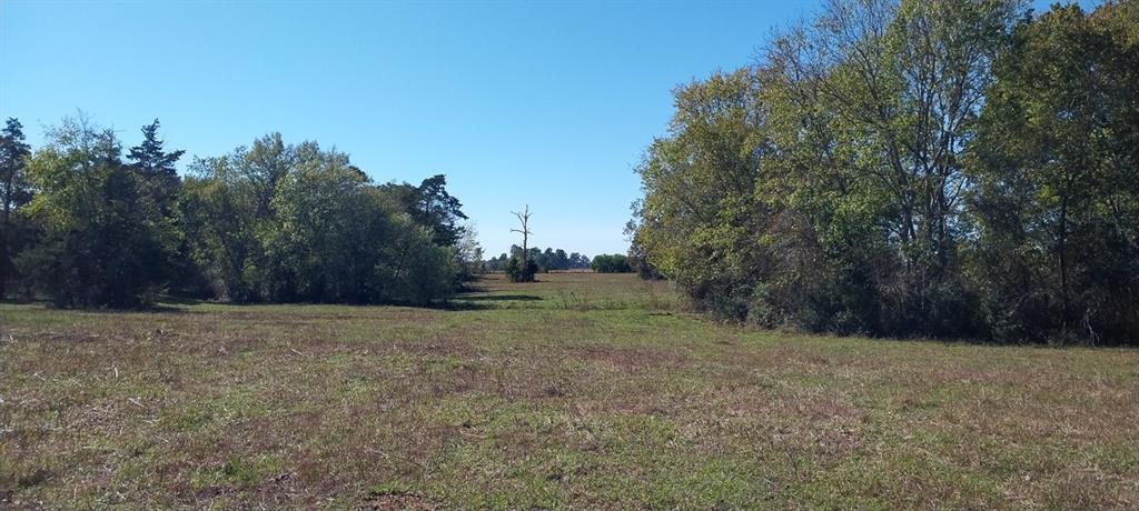 Private Road 5470, Crockett, Texas image 16