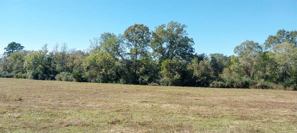 Private Road 5470, Crockett, Texas image 12