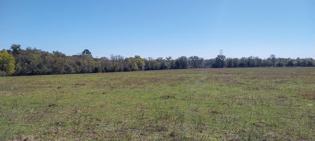 Private Road 5470, Crockett, Texas image 15