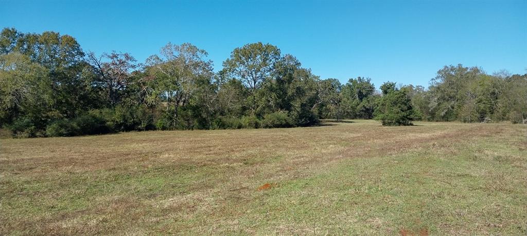 Private Road 5470, Crockett, Texas image 11