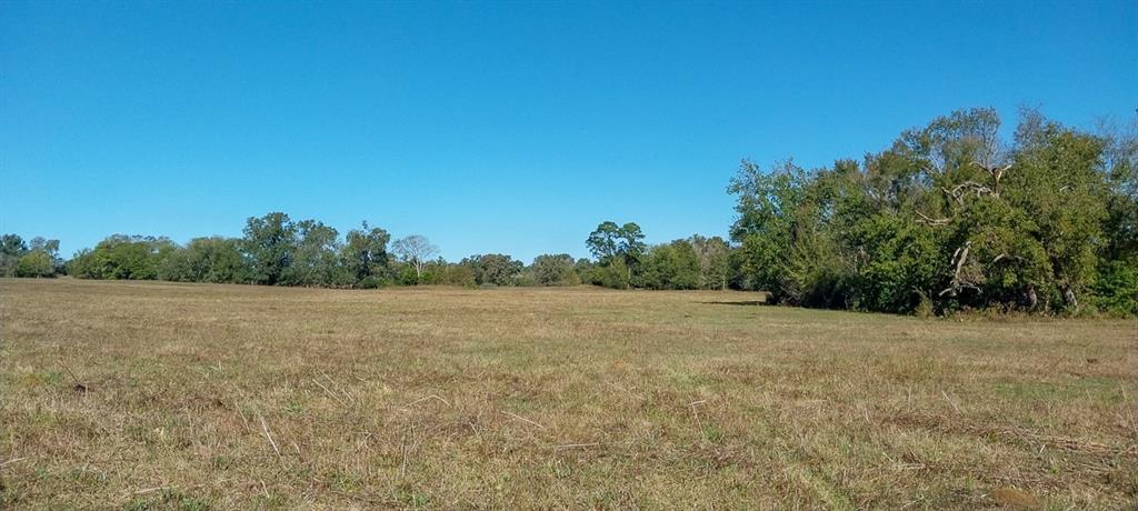 Private Road 5470, Crockett, Texas image 8