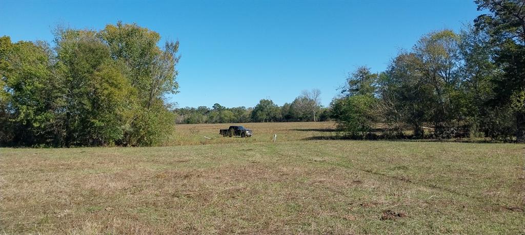 Private Road 5470, Crockett, Texas image 3