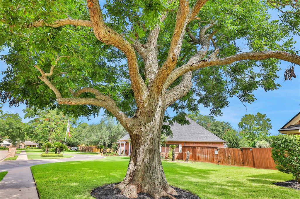 107 Pearl Drive, Lake Jackson, Texas image 6