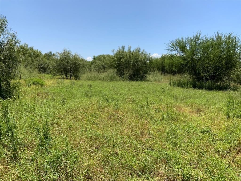 TBD County Road 2367, Sinton, Texas image 2