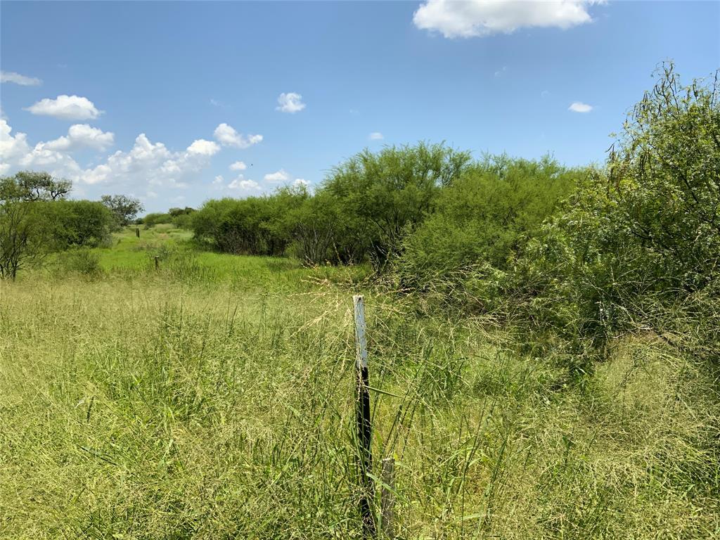 TBD County Road 2367, Sinton, Texas image 10