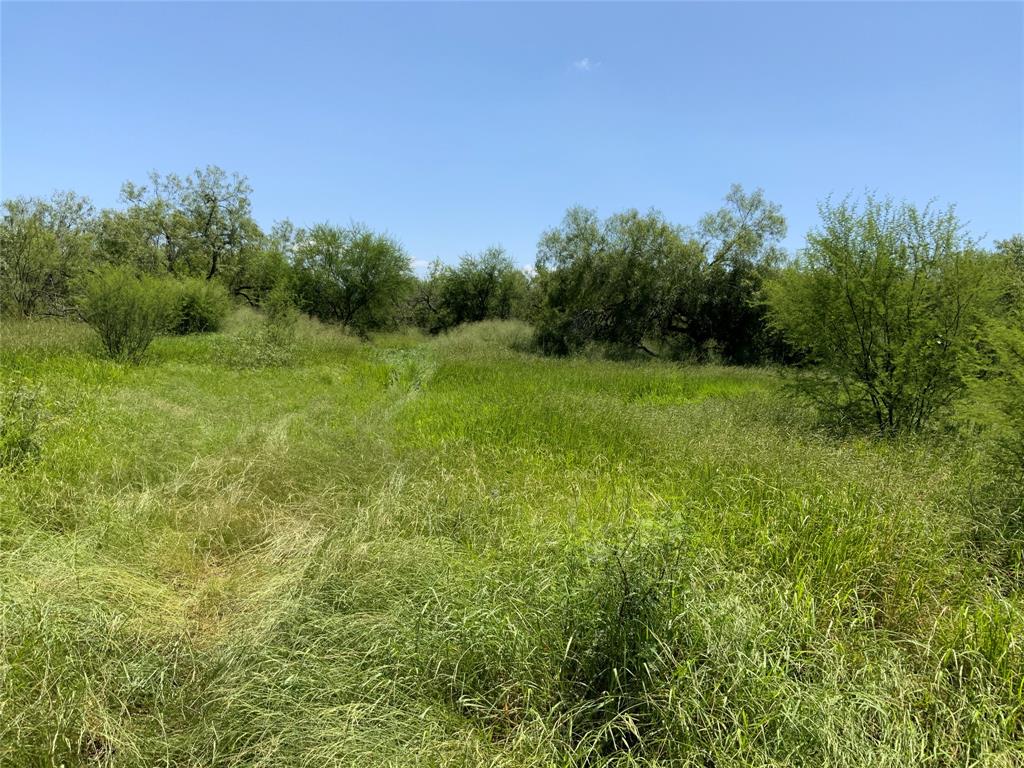 TBD County Road 2367, Sinton, Texas image 12