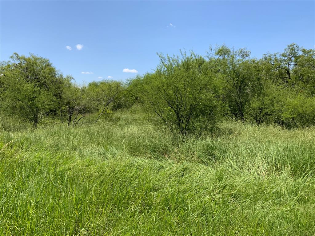 TBD County Road 2367, Sinton, Texas image 14