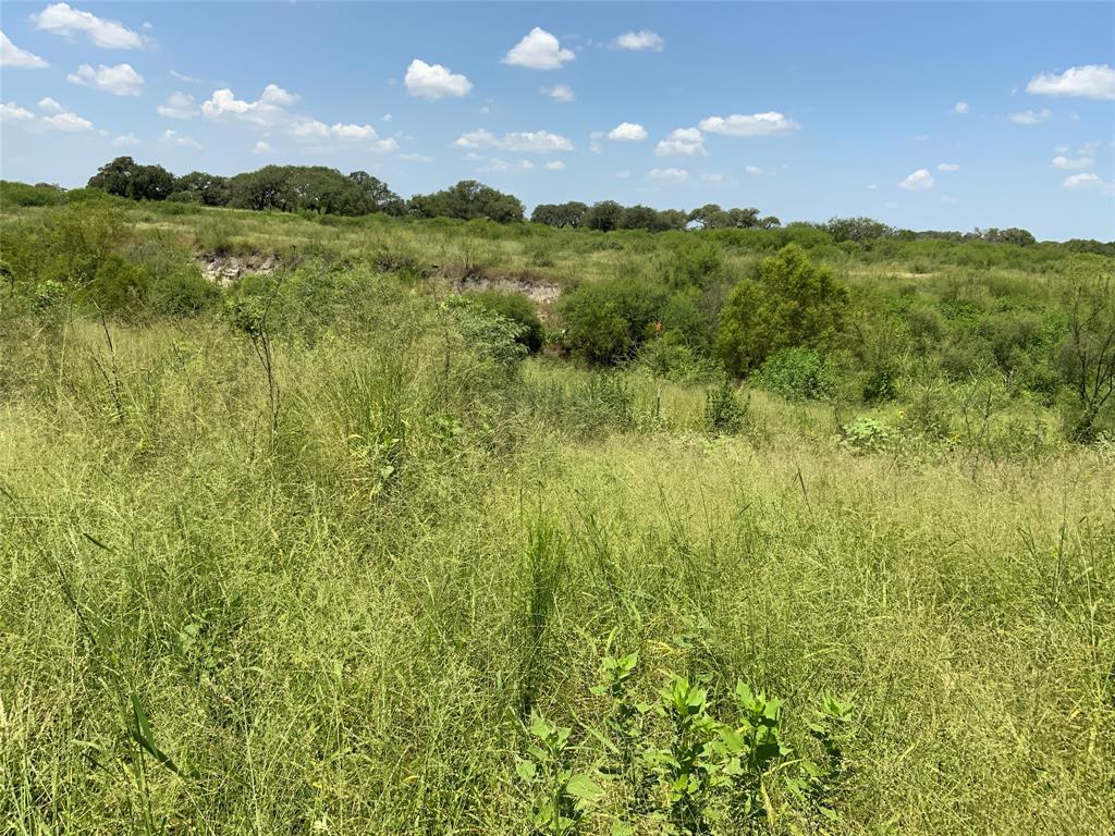 TBD County Road 2367, Sinton, Texas image 8