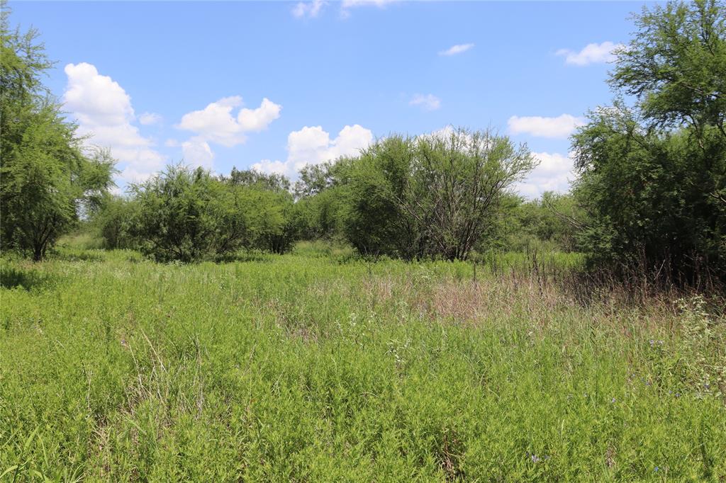 TBD County Road 2367, Sinton, Texas image 32