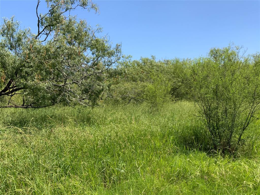 TBD County Road 2367, Sinton, Texas image 15