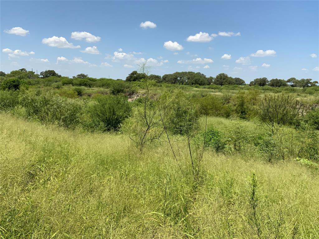 TBD County Road 2367, Sinton, Texas image 11