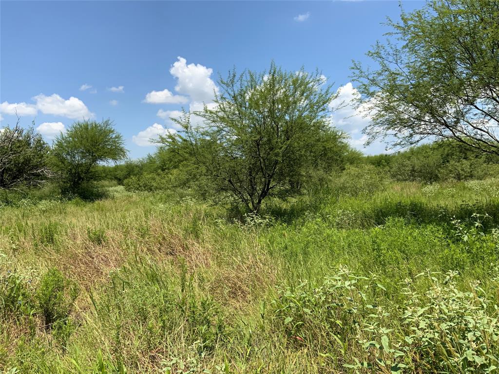 TBD County Road 2367, Sinton, Texas image 6