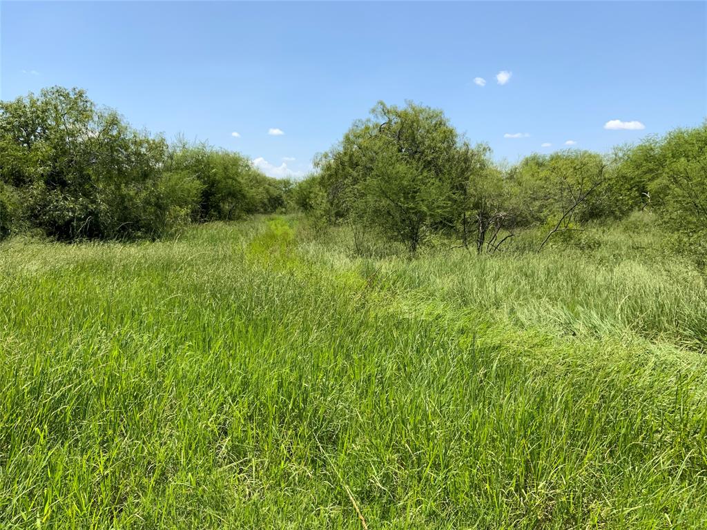 TBD County Road 2367, Sinton, Texas image 13