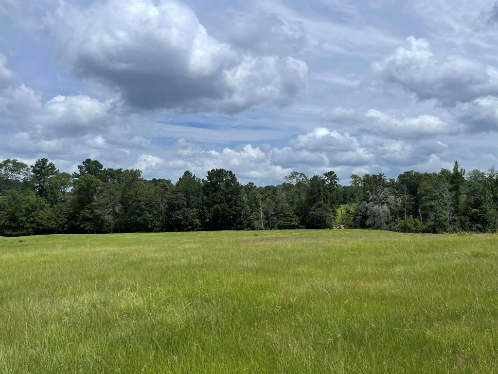 TBD Lakeland Ranch Lot 267, Hillister, Texas image 2