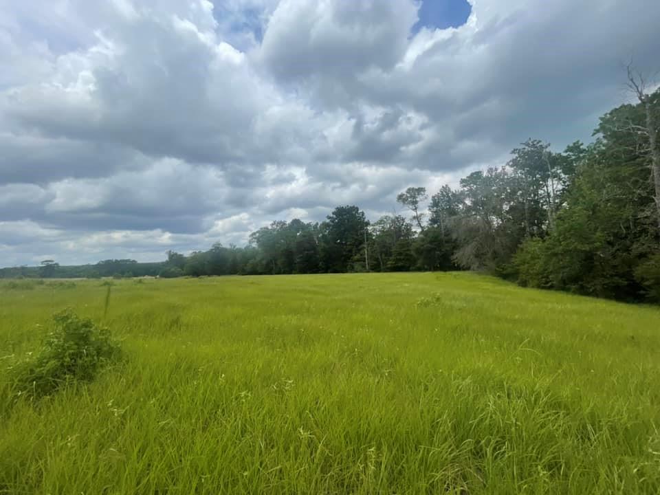 TBD Lakeland Ranch Lot 267, Hillister, Texas image 10