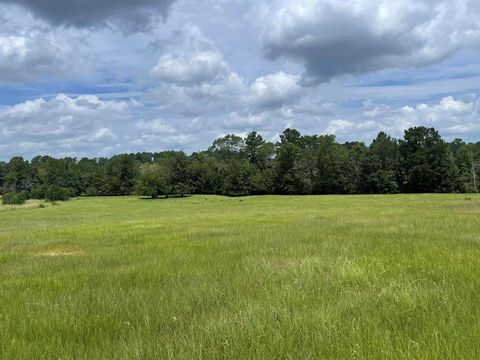 Vacant Land For Sale - TBD Lakeland Ranch Lot 267<br/> Hillister, TX 77624