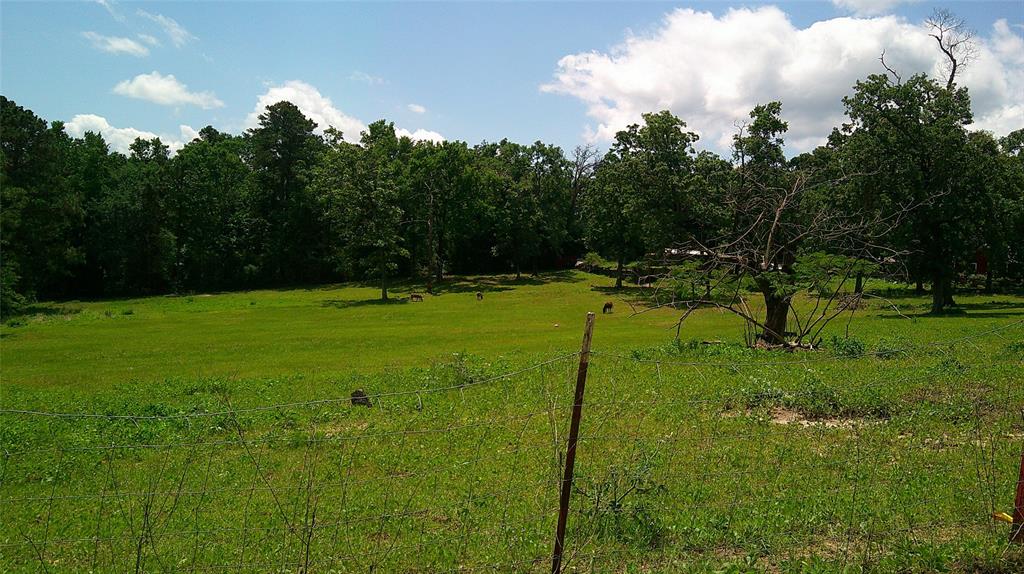 801 Lake L Drive, Trinity, Texas image 3
