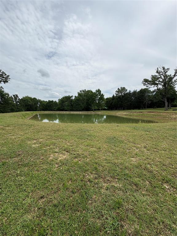 9187 Fm-1486 Road, Anderson, Texas image 3