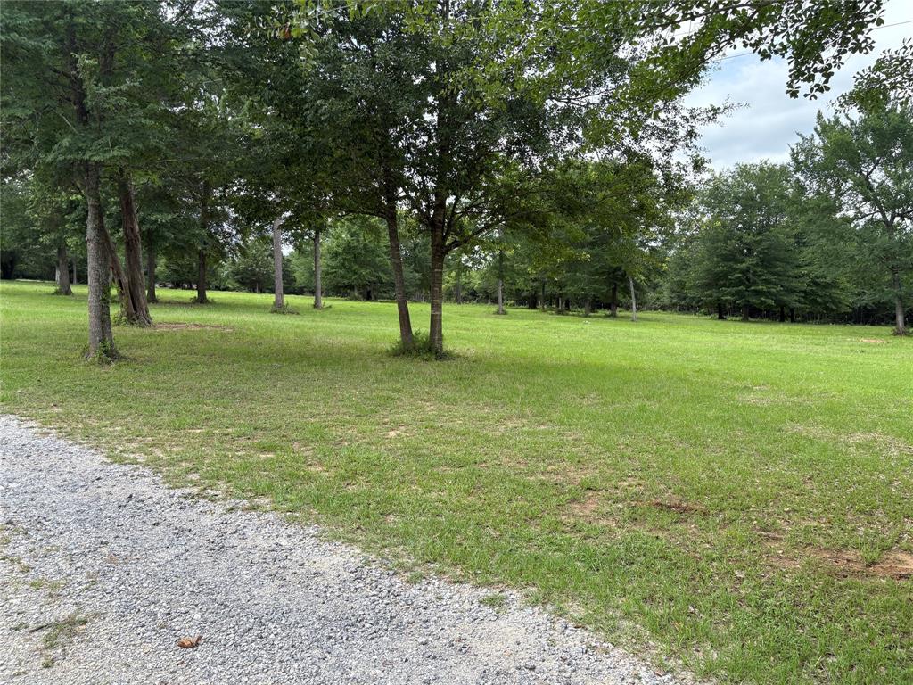 9187 Fm-1486 Road, Anderson, Texas image 5