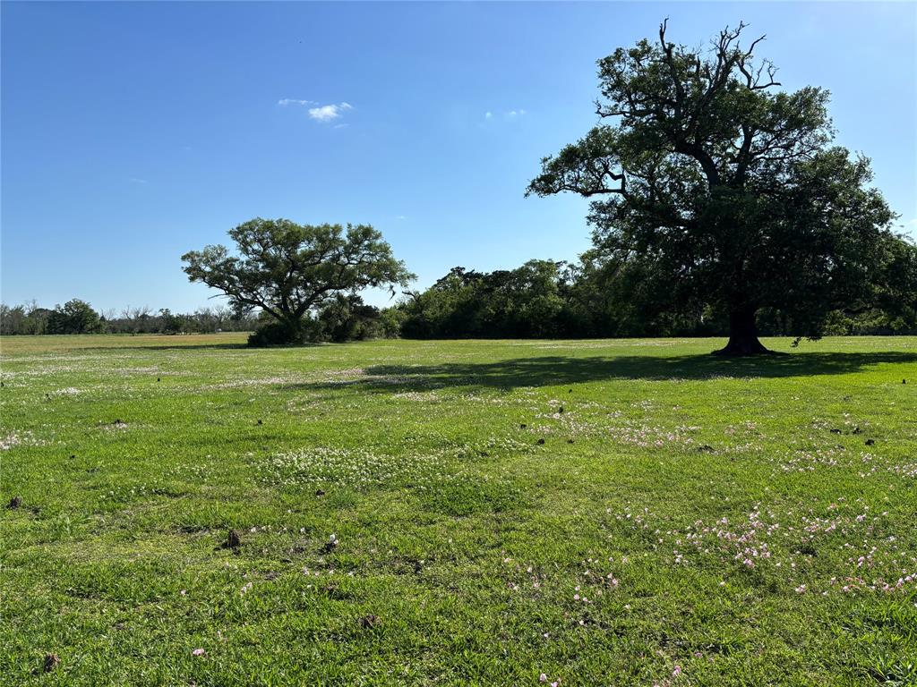 17512 County Road 729, Brazoria, Texas image 4
