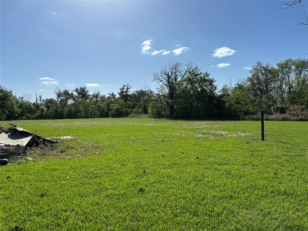 17512 County Road 729, Brazoria, Texas image 3