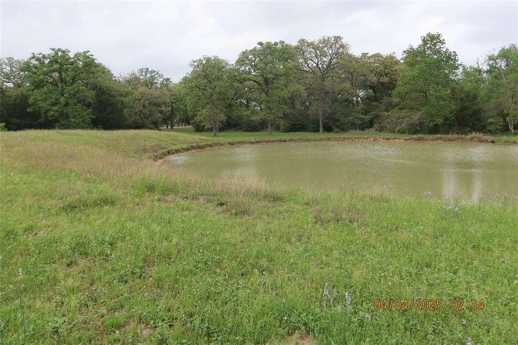 1416 Jerrell Coffee Road, Columbus, Texas image 9