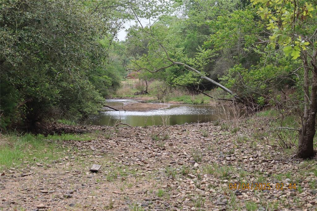 1416 Jerrell Coffee Road, Columbus, Texas image 16