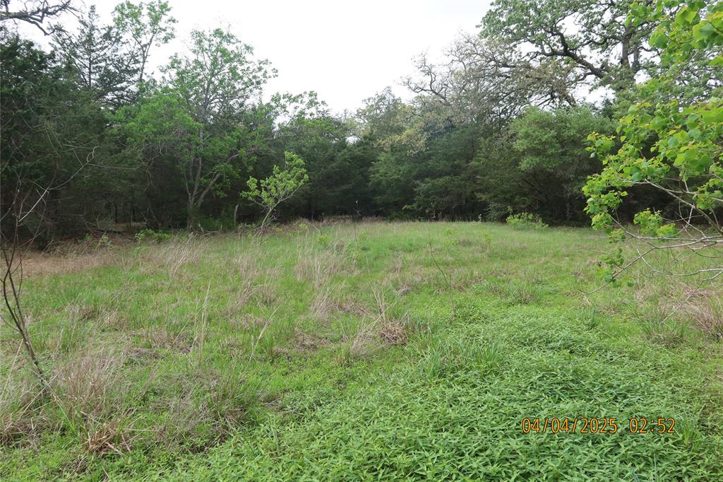 1416 Jerrell Coffee Road, Columbus, Texas image 19