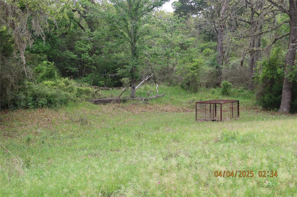 1416 Jerrell Coffee Road, Columbus, Texas image 11