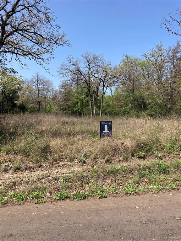 TBD Whiterock Road, Bremond, Texas image 3